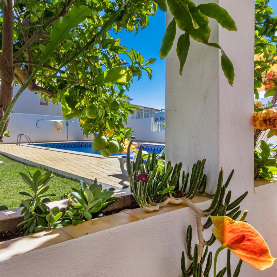 Apartamentos Carruna 阿尔布费拉 外观 照片